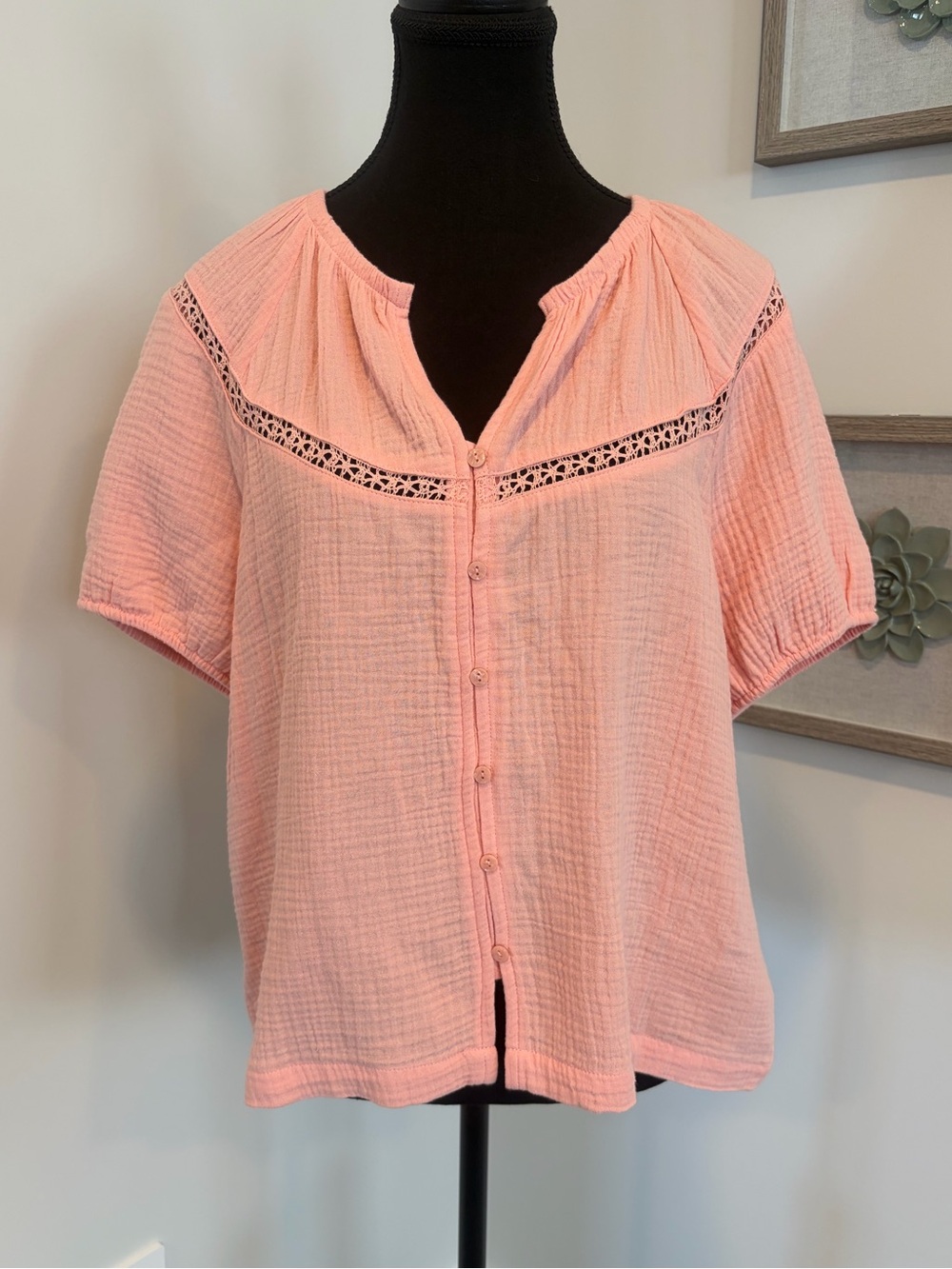 Frye Mellow Rose Cotton Gauze Button-Down Top with Crochet Detail NWT!